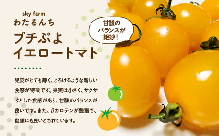 カラフルトマト・プチぷよイエロートマトジュース　2本セット　【11218-0902】