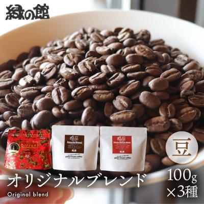 ふるさと納税 下呂市 緑の館 珈琲豆 オリジナルブレンド 100g×3種セット【17-128】