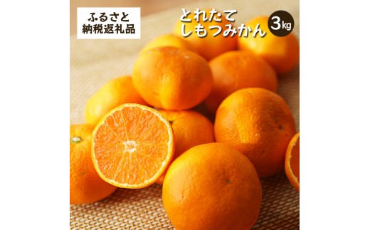 
                  とれたてしもつみかん 3kg 家庭用｜和歌山県海南市の下津みかんを産地直送でお届け［2026年11月発送開始］
                