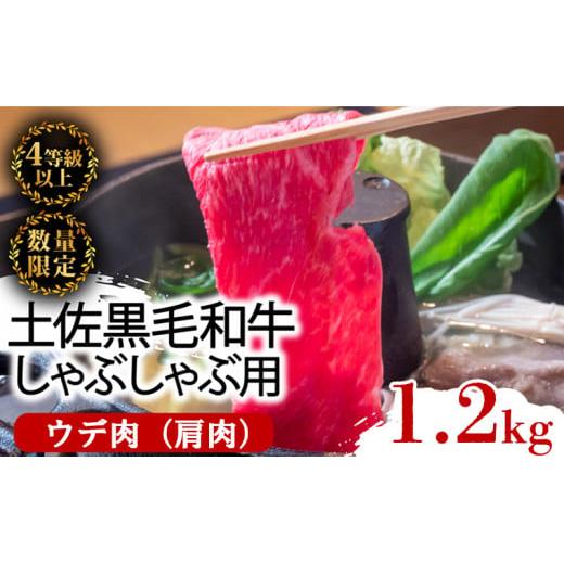 土佐 黒毛 和牛 しゃぶしゃぶ用 1.2kg （ 600g × 2パック ） | 特撰 ウデ肉 肩肉 最上位等級 A4 A5 最高ランク 贅沢 しゃぶしゃぶ　鍋 スライス 焼肉用 小分け 冷凍 国産 牛肉 1kg 以上 高知県 須崎 TM013