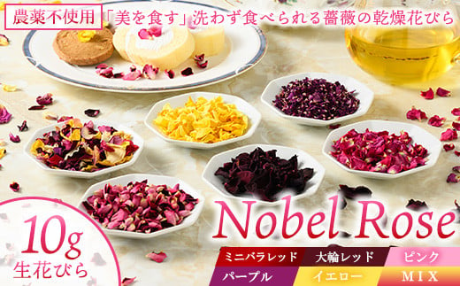 【MIX】『美を食す』 Nobel Rose 乾燥花びら 10g｜通年出荷 食用バラ 薔薇