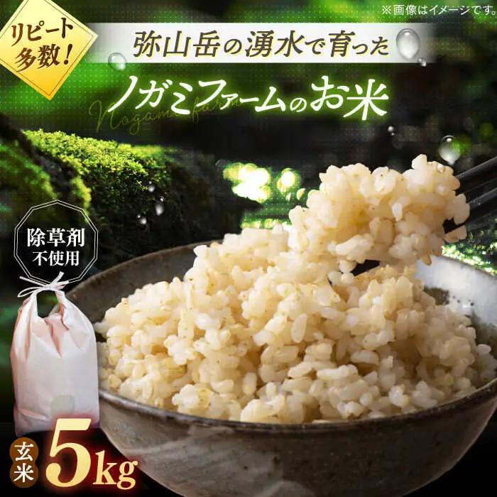 玄米 5kg 【先行予約・令和8年産 】ノガミファーム[ADAU009] 米 玄米5キロ