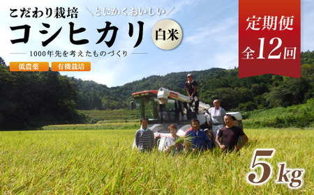 【定期便12回】有機栽培コシヒカリ白米 5kg 低農薬 12ヶ月 【 米 5キロ 精米 白米 こめ コメ お米 おこめ こしひかり 有機栽培米 減農薬 】