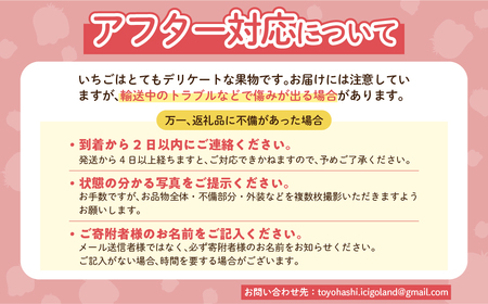 ブランドイチゴ たっぷり 約2kg 訳あり (約250g×8パック) 詰め合わせ イチゴ 甘いイチゴ 農家直送イチゴ ブランドイチゴ 愛知県 イチゴ