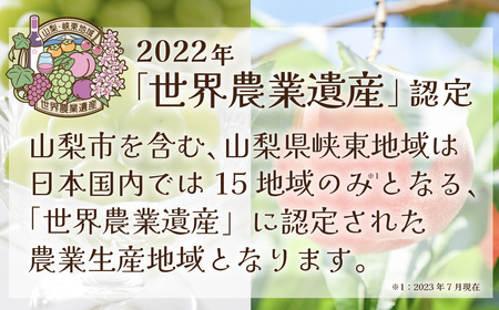 【2024年発送 先行受付】山梨県産シャインマスカット 700g以上(1房) ふるさと納税【配送不可地域：離島】【1272519】