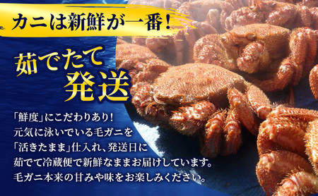 ［冷蔵便］茹でたて直送！北海道産 朝茹で毛ガニ 約800g×3尾【 かに カニ 蟹 幕別町 北海道 毛蟹 毛ガニ 海鮮 魚介 海の幸 海産物 冷蔵 】
