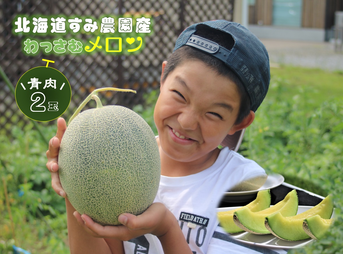 【ふるさと納税】（予約返礼品）わっさむ産メロン（青肉2玉）