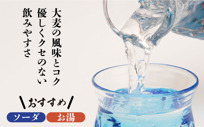 【12回定期便】本格 麦焼酎 青一髪 25° 900ml×2本  / 贈答用 酒 焼酎 南島原市 / 久保酒造場 [SAY013]