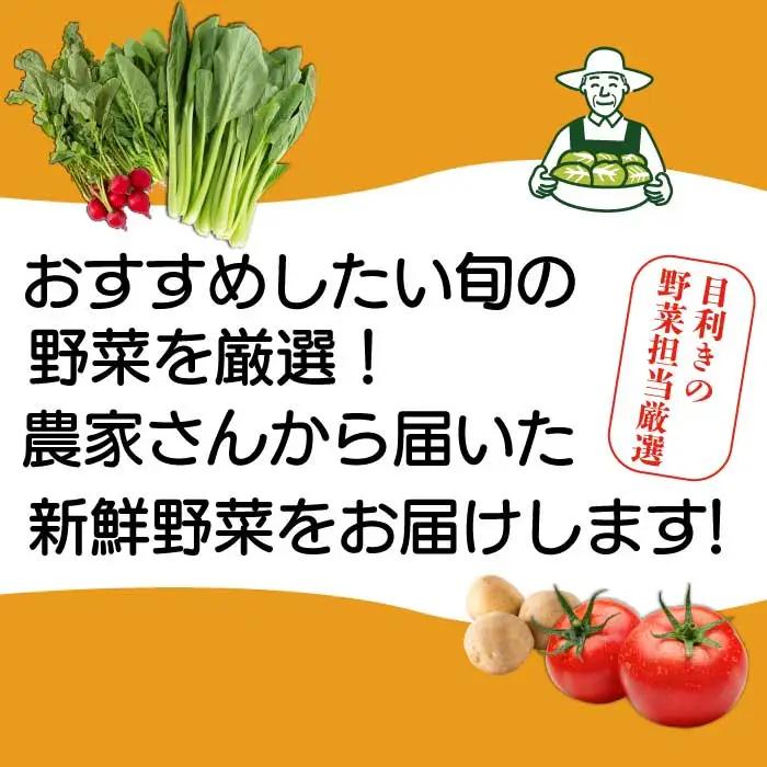 【12か月定期便】道の駅セレクト 旬野菜つめあわせ やさい 野菜 詰め合わせ 7～10品目 新鮮 国産 健康 ヘルシー サラダ 鍋 季節 043043