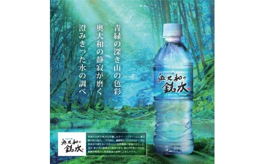 【定期便3ヶ月】奥大和の銘水　500ml×48本（1箱24本入り×2箱）×3ヶ月 G-97 500ml×48本×3回 