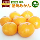 【ふるさと納税】宇城市産 青島 温州みかん 約8kg 60玉前後 ひでみかん 青島みかん 青島温州みかん みかん ミカン 蜜柑 フルーツ 果物 くだもの 熊本県産 九州産 国産 送料無料 【12月上旬から12月下旬発送予定】