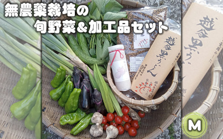 無農薬栽培の旬野菜＆加工品セット　M ／ 野菜 やさい 旬 新鮮 採れたて 産地直送 直送 お取り寄せ 安全 安心 地元 オーガニック野菜 季節野菜 旬野菜 詰合せ 循環農業 埼玉県 No.053