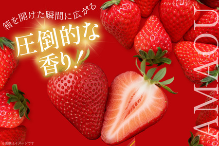 いちご あまおう 約250g×4P 3月上旬 ～ 5月中旬 いちご