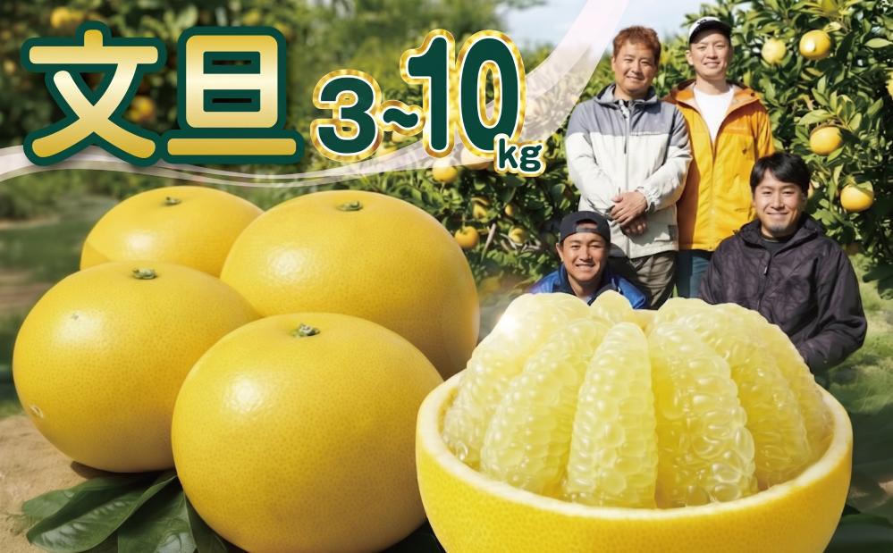 
                  土佐文旦 選べる 3kg 5kg 10kg 家庭用 L~5L 小玉 文旦 訳あり ぶんたん みかん 高知 柑橘フルーツ スイーツ 蜜柑 お裾分け デザート 柑橘 特産品 名産  ギフト 贈り物 お取り寄せ 旬  宿毛市 高知県 すくも文旦倶楽部
                