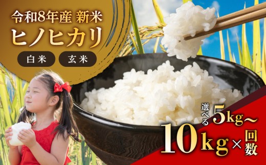 【新米予約】 【R8 ヒノヒカリ 5kg 白米 単品】 令和8年産 新米 お米 米 ひのひかり ご飯 ごはん 白ご飯 精米 国産米 ライス rice 国産 おこめ こめ kome 白いご飯 おにぎり お弁当 おうちごはん 2026年 選べる 容量 回数 和食 和 農家直送 産地直送 家庭用 贈答用 毎日の食卓 炊飯 朝ごはん 数量限定 送料無料 ふるさと納税 岩井農園 奈良県産 奈良県 奈良市