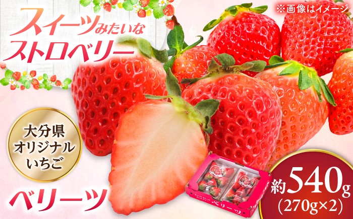 
                  【先行予約・27年2月以降発送】 「ベリーツ」平大玉 約270g×2パック　日田市 / 株式会社スカイファーム【配送不可地域：北海道・沖縄・離島】 [AREU001]
                