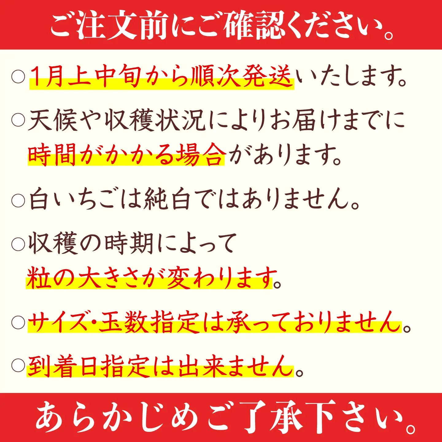 【2027年1月以降順次発送】白い宝石（贈答用）約450g / いちご / 佐賀県 / 手島農園 [41ABAB005]