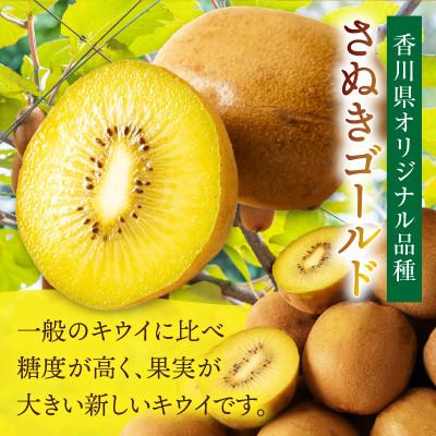 ふるさと納税 三木町 さぬきゴールドキウイ　約2.5kg |  | 01