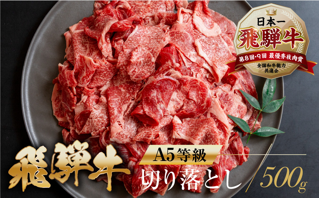 
トキノ屋[A5等級] 飛騨牛切り落とし 500g 牛肉 肉 和牛 国産牛 肉 焼肉 すき焼き a5 不揃い 小分け 冷凍 日付指定 トキノ屋食品 本巣市 のし対応可 [mt367]
