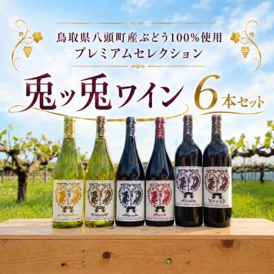 ふるさと納税 八頭町 八頭町産ぶどう100%使用プレミアムセレクション|兎ッ兎ワイン6本セット