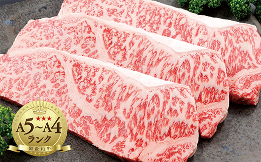 佐賀牛ロースステーキ 200g×3枚 _d-5