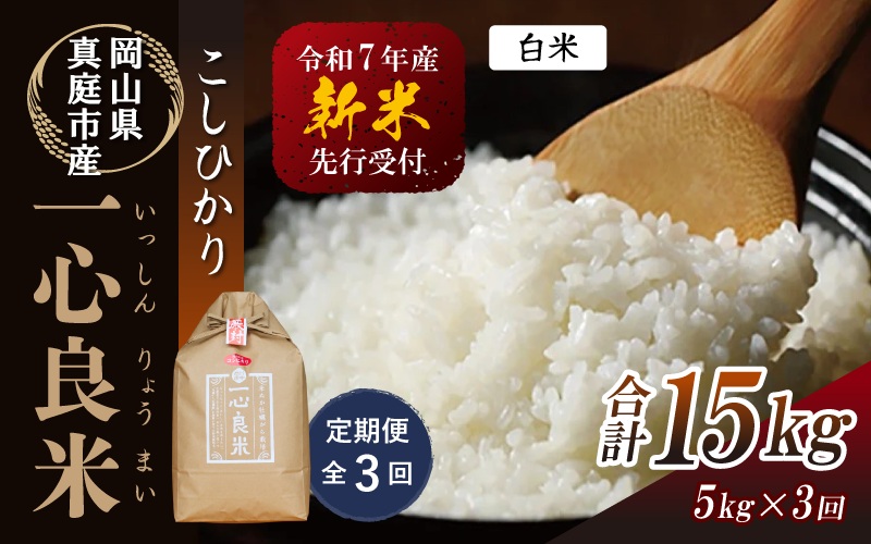 ＜全3回定期便＞ 真庭市産コシヒカリ 米ぬか 牡蠣栽培米 『 一心良米 』 白米 5kg×3回 【令和7年産】 / お米 いっしんりょうまい 岡山県 米 こしひかり 人気 ブランド 新米 2025年産 【tkns-tkb025】