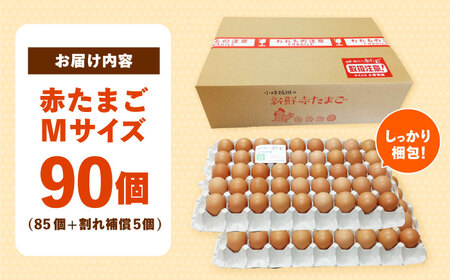 　【朝採れ直送】小峰鶏園 赤たまご Mサイズ 90個 / 卵 玉子 たまご 卵焼き 玉子焼き 生卵 鶏卵 卵かけごはん / 諫早市 / 小峰鶏園[AHFB002]
