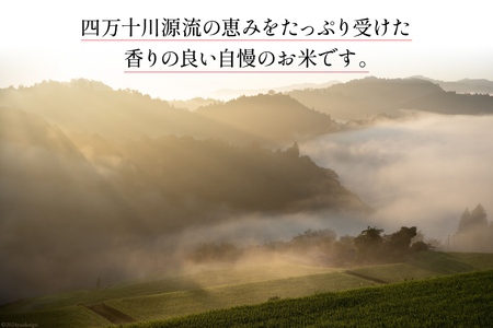 大わらじの里 宮谷 山のお米 3kg [宮谷営農組合瑞穂ファーム 高知県 津野町26aq0010] 白米 おこめ お米 こめ コメ 精米