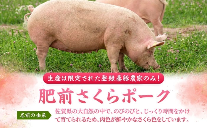 肥前さくらポーク 切り落とし 500g × 10パック 計 5kg | 豚肉 肥前さくらポーク 切り落とし 国産 小分け 大容量