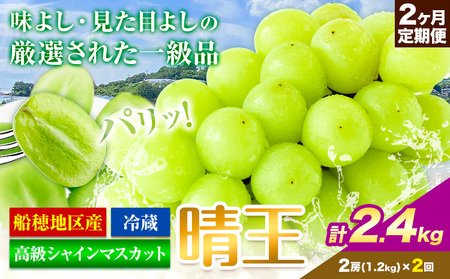 高級 シャインマスカット 2ヶ月 定期便【先行予約】ぶどう 晴王 岡山県産 2房1.2kg×2ヶ月 計2.4kg《9月上旬-10月末頃出荷(土日祝除く)》 ハレノフルーツ マスカット 送料無料 岡山県 浅口市 フルーツ 果物 贈り物 ギフト 国産 岡山県産【配送不可地域あり】（北海道・沖縄・離島）