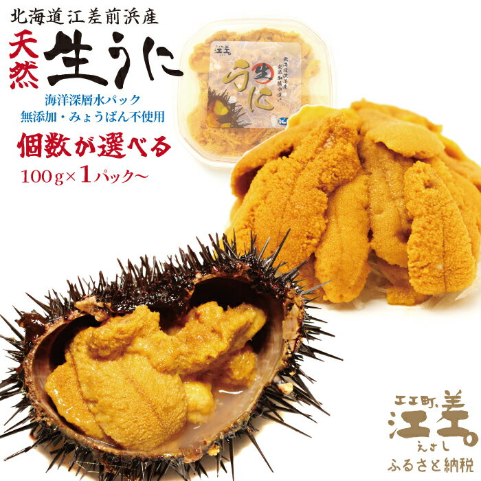 【ふるさと納税】＼2026年先行予約／北海道江差前浜産 生うに【天然・無添加・みょうばん不使用】〈個数が選べる 1個・2個・5個・10個〉令和8年　 100グラムパック個包装　キタムラサキウニ　海洋深層水　塩水ウニ　素材を生かした自然の味　国産うに　雲丹