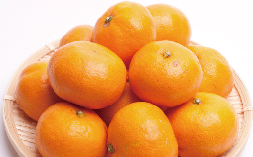 プレミアム有田みかん5kg+250g（傷み補償分）11月より発送(完熟)【光センサー選果】＜11月上旬より順次発送予定＞ / みかん ミカン 果物 フルーツ くだもの 和歌山 有田みかん 【ikd11