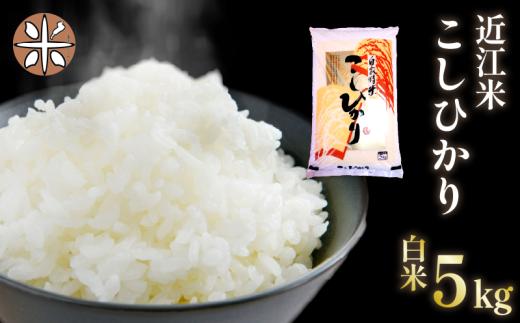 令和7年産 白米 5㎏ こしひかり 5kg × 1袋 精米 近江米 コシヒカリ 国産 お米 米 おこめ ごはん ご飯 白飯 しろめし こめ ゴハン 御飯 滋賀県産 竜王 ふるさと ランキング 人気 おすすめ