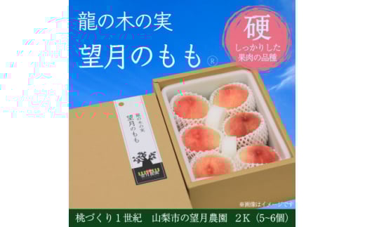＜2026年先行予約＞硬めの品種の桃・2K(5~6個)「龍の木の実 望月のもも」【1489760】