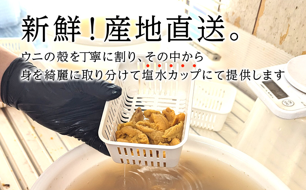ANA限定【期間限定】美国産雲丹50g ミニウニ丼サイズ