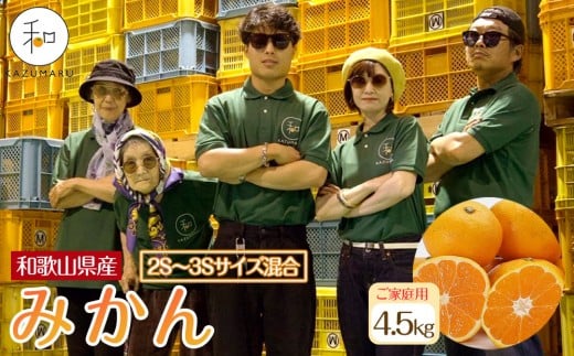 家庭用 森本農園の手選別 小粒みかん 約4.5kg 和歌山県産 2S・3Sサイズ混合 ［北海道・沖縄・離島配送不可］［2025年11月上旬から順次発送］［RN60］