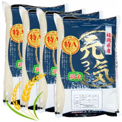 ふるさと納税 田川市 【令和5年産】福岡県産ブランド米「元気つくし」白米20kg(田川市)