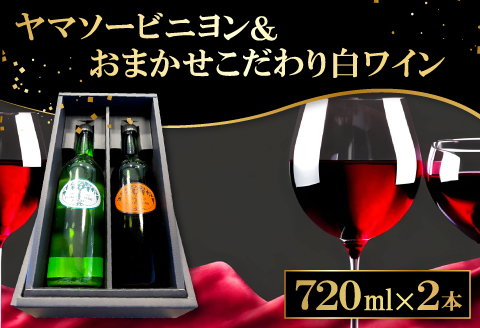 B-854 森の記憶を呼び覚ます「ヤマソービニヨン」 と 「こだわり白ワイン（おまかせ）」