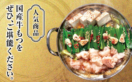 まるいち博多牛もつ鍋 ホルモン 4人前 送料無料《30日以内に出荷予定(土日祝除く)》福岡県 鞍手郡 小竹町 九州丸一食品株式会社 もつ鍋 もつなべ ギフト 贈答