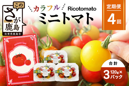 【4回定期便】【先行予約】 カラフルミニトマト 【少量パック】 120gx3p　たにぐちファーム カラフルミニトマト 360g とりこになるトマト 野菜 とまと トマト リコピン 佐賀産 佐賀県 鹿島