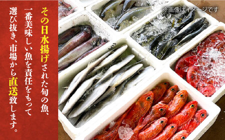 【全4回定期便】五島列島直送！朝獲れ鮮魚セット4kg　鯛福丸水産/五島市[PDP014] 魚 鮮魚 魚介 魚貝 海鮮 海産物 刺身 魚 鮮魚 魚介 魚貝 海鮮 海産物 刺身 魚 鮮魚 魚介 魚貝 海鮮