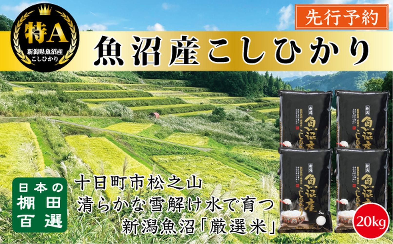 
            【令和７年産新米予約】【食味鑑定士厳選】　日本の棚田百選　新潟県十日町（魚沼）産　コシヒカリ20kg(5kg×4)
          