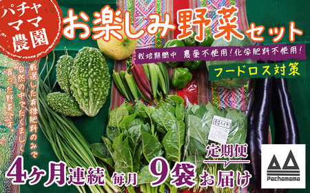 野菜 9袋 訳あり 4ヶ月 定期便 詰め合わせ お任せ 旬 野菜