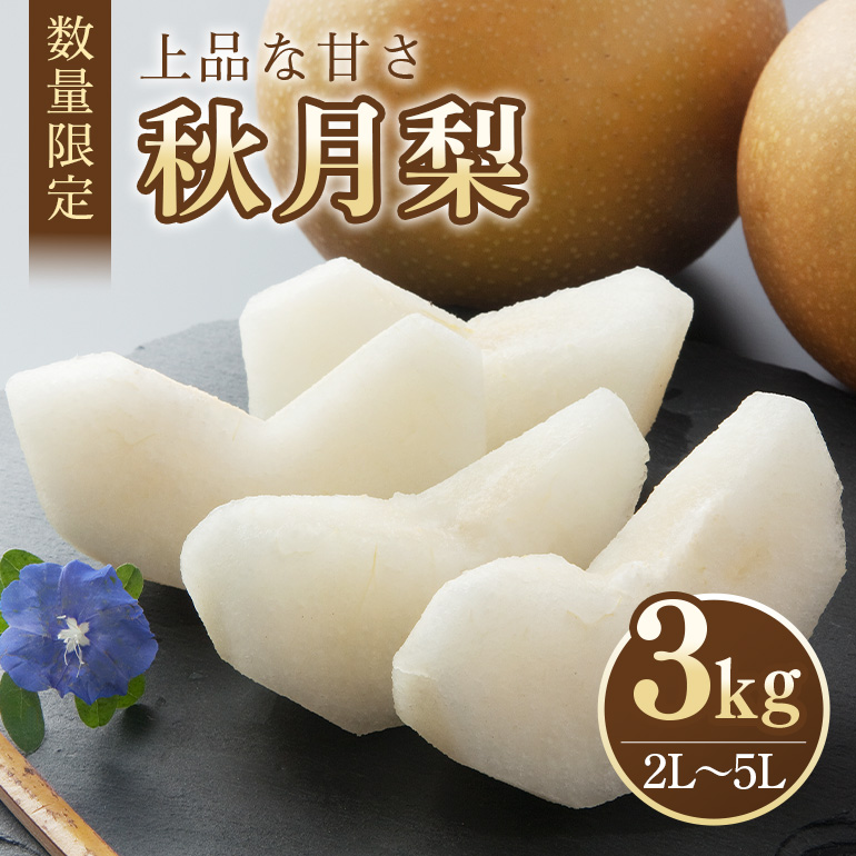 【数量限定・期間限定】 秋月 3kg 2L～5L 6～9玉 【9月10日～10月末発送予定】 70-C