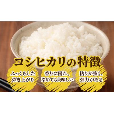 ふるさと納税 大野市 【令和7年産】大野産コシヒカリ(白米)10kg【大野ブランド米 名水育ち】 |  | 02
