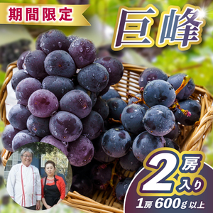 【先行予約】 巨峰 2房 (大粒600g以上/房)