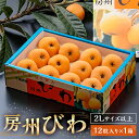 【ふるさと納税】【先行受付 2025年5月下旬～6月中旬発送予定】 房州びわ（露地） 12粒入2Lサイズ以上1箱 枇杷 皇室献上品 千葉県 南房総市 甘み 酸味 瑞々しい 常温 フルーツ 新鮮 果物 肉厚 大粒 ご贈答品 送料無料