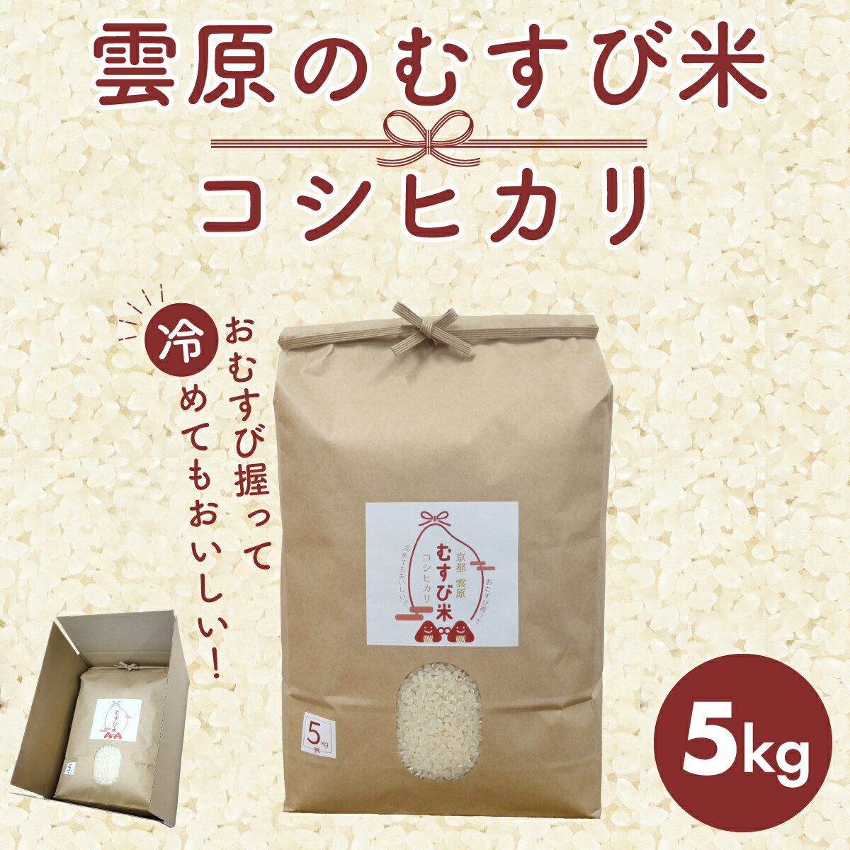 【ふるさと納税】雲原のむすび米 コシヒカリ5kg / こしひかり コシヒカリ 米 お米 コメ 白米 おむすび おにぎり 精米 FCEP001