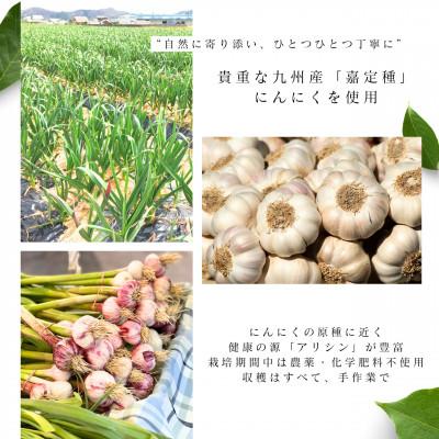ふるさと納税 津山市 活性エキス【健康食品】 |  | 01