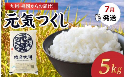 【2026年7月発送】九州・福岡からお届け！ブランド米「元気つくし」5kg×1袋 お米 米 コメ 白米 特A 直送 お弁当 おにぎり 炊きたて ツヤ 粘り もちもち 弾力 卵かけご飯 福岡県 八女市